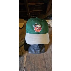 Fort Wayne Tincaps Minor League MILB Youth hat